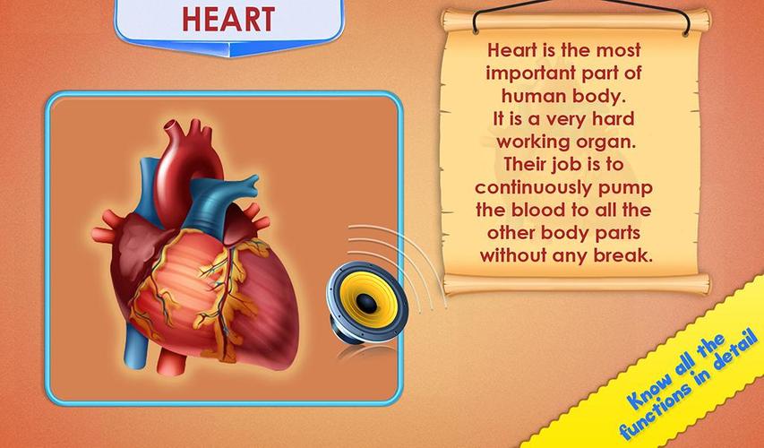 Human Body Parts应用截图第2张