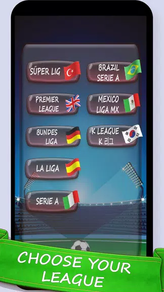 Football Game : Super League Captura de pantalla 0