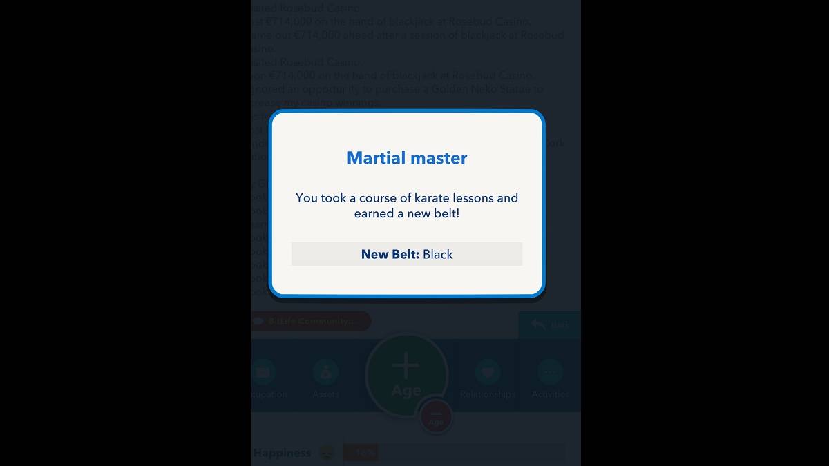 Kinita ng Bitlife Black Belt