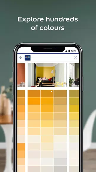 Dulux Visualizer PK স্ক্রিনশট 1