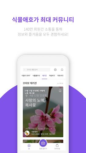 모야모 Screenshot 2