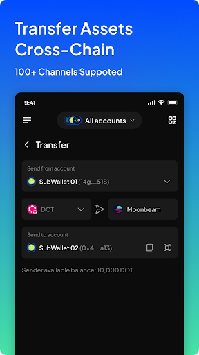 SubWallet Captura de pantalla 2