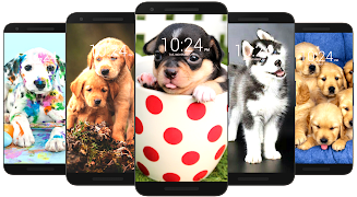 Dog Wallpaper HD Captura de pantalla 3