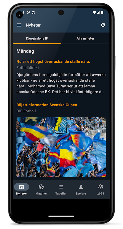 Allsvenskan 2024 ภาพหน้าจอ 0