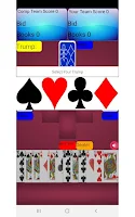 Pinochle Card Game Ảnh chụp màn hình 2