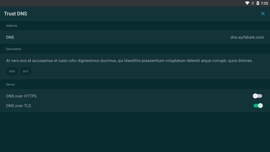 Trust DNS স্ক্রিনশট 2