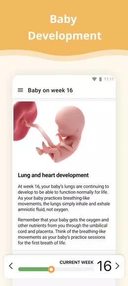 Pregnancy App Captura de tela 1