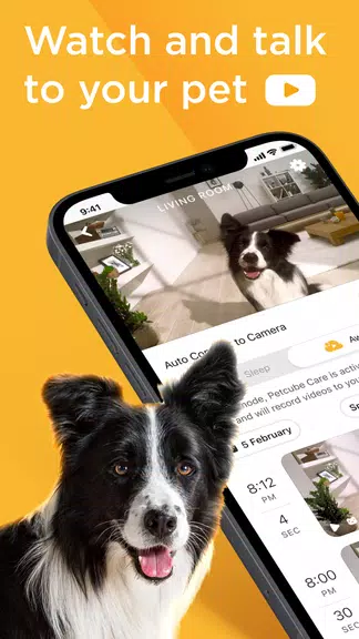 Petcube スクリーンショット 0