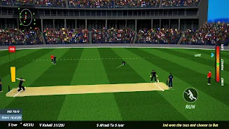 World Real IPL Cricket Games Screenshot 0