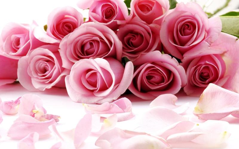 Roses Jigsaw Puzzles应用截图第2张