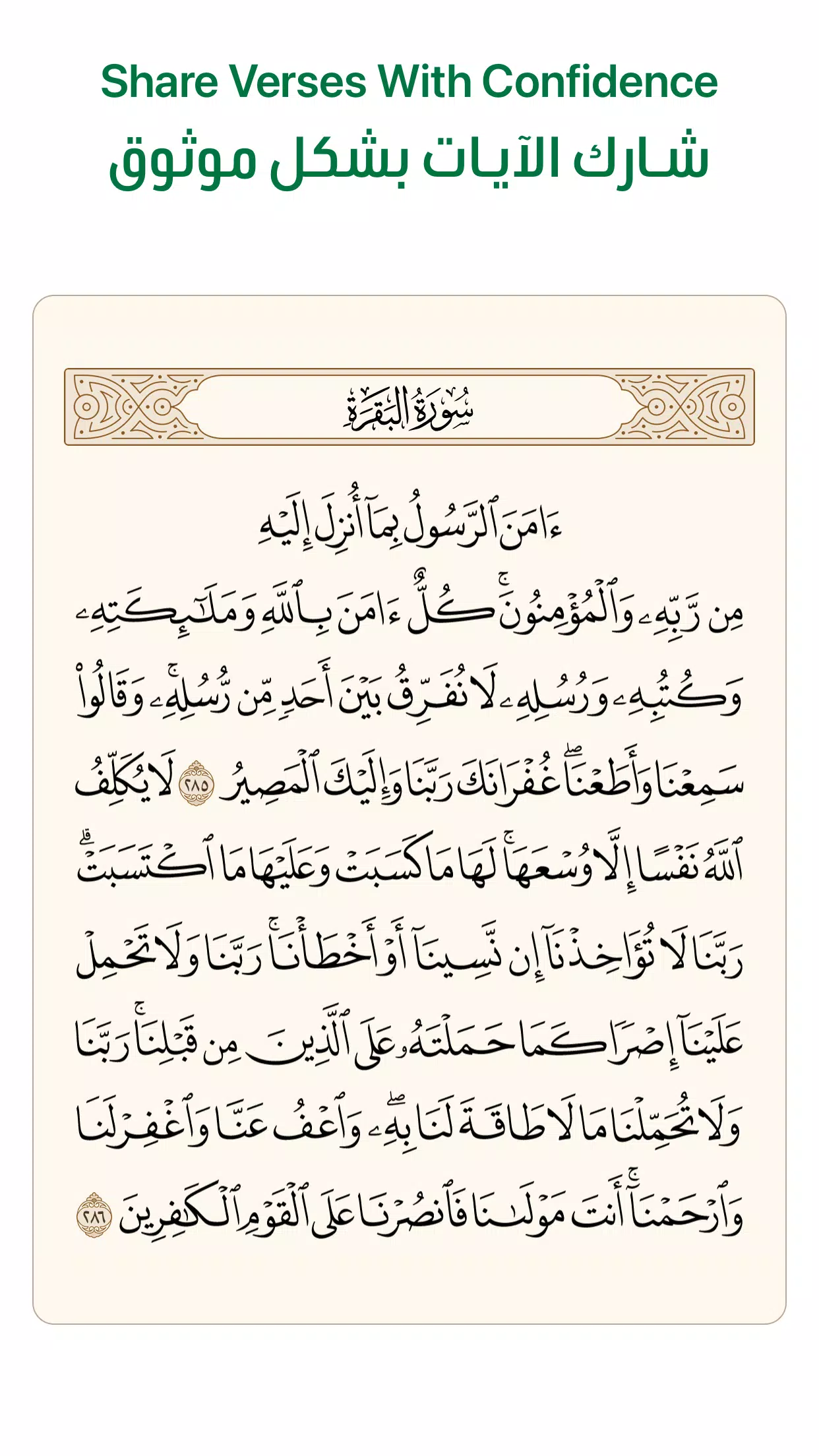 Schermata Ayah 3