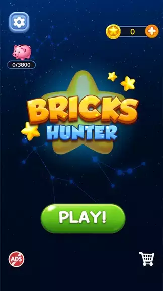 Bricks Hunter : Cube Puzzle Ekran Görüntüsü 0