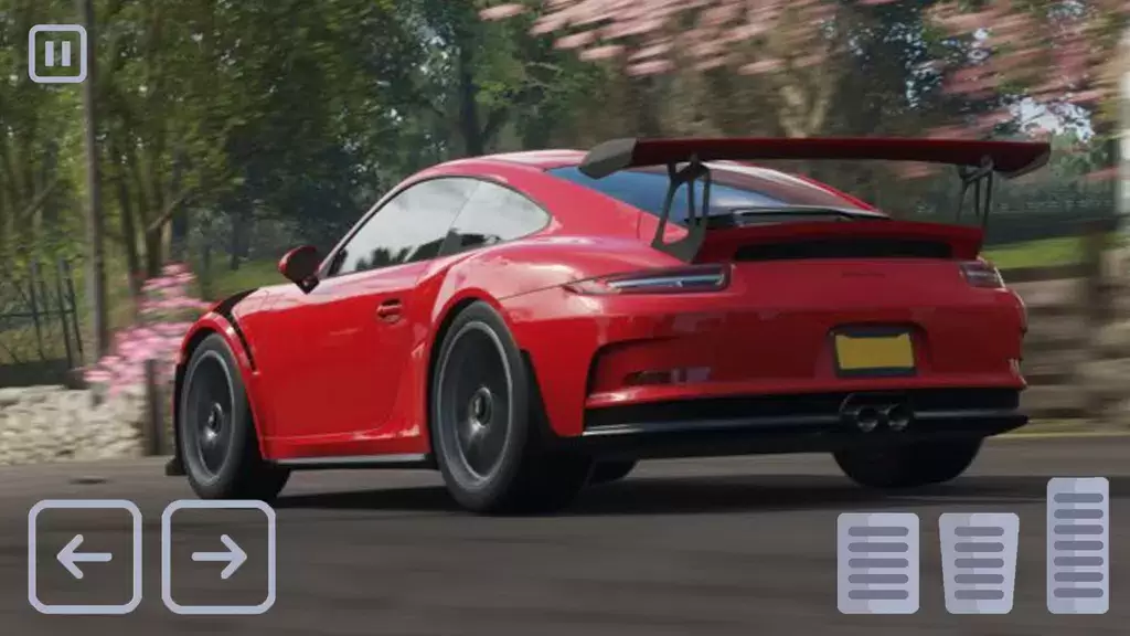 Racing Porsche Carrera 911 GT3 Zrzut ekranu 3