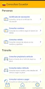 Consultas Ecuador Captura de pantalla 1