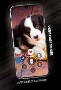 Puppies Wallpapers in 4K ဖန်သားပြင်ဓာတ်ပုံ 1