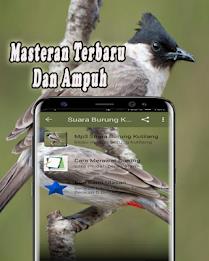 Suara Burung Kutilang Offline স্ক্রিনশট 1