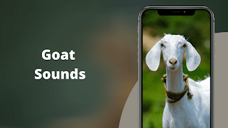 Goat Sounds應用截圖第0張