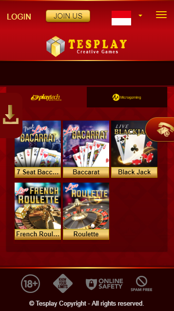 Casino Slot Online - TESPLAY Schermafbeelding 0