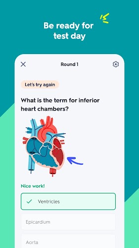 Schermata Quizlet: AI-powered Flashcards 2