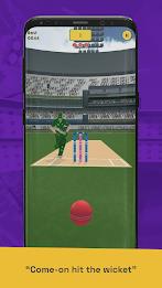 Run Out Champ: Hit Wicket Game Ảnh chụp màn hình 1