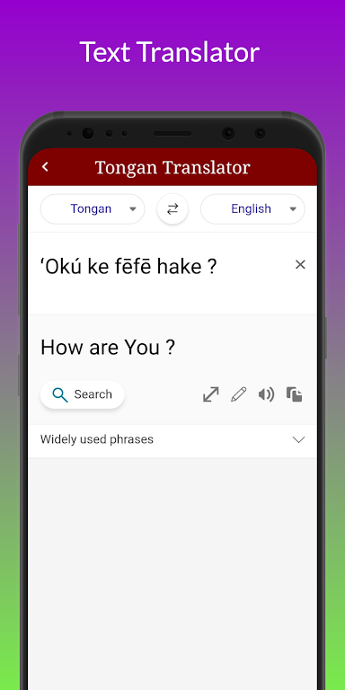 Tongan Translator Capture d'écran 2