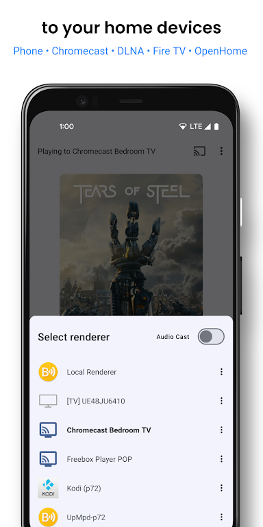 Schermata BubbleUPnP for DLNA/Chromecast Mod 1