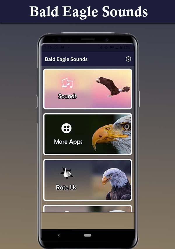 Bald Eagle Sounds Screenshot 2