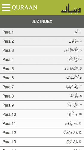 Quraan-E-Karim  (15 Lines) Zrzut ekranu 3