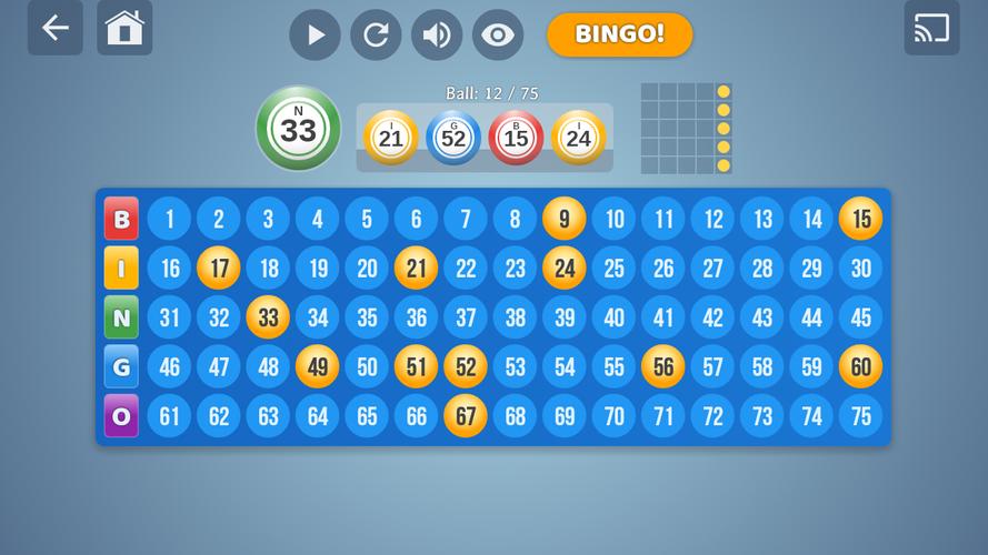 Bingo Set Captura de pantalla 3
