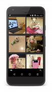 MediaGrub - Insta, Twit, Flick, Tumb photo saver應用截圖第1張