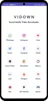 Video downloader - Vidown應用截圖第0張