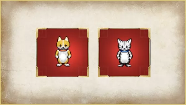 DQ III Save Data Bonus Items